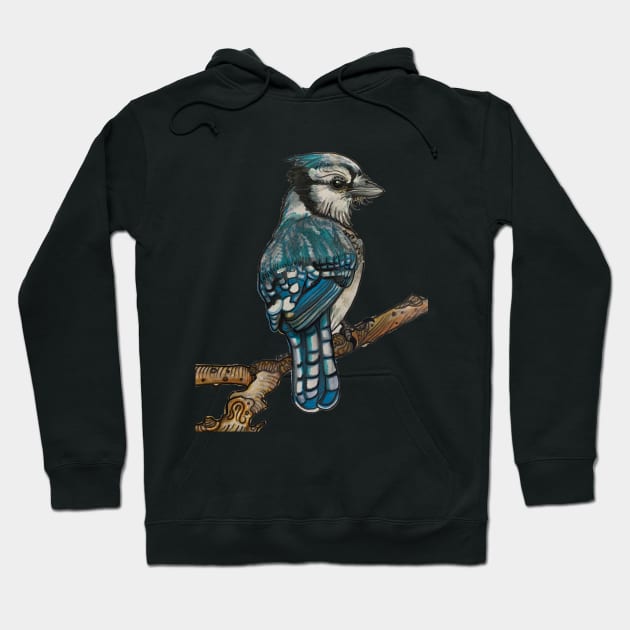 Blue Jay Hoodie by jilliandohertyart